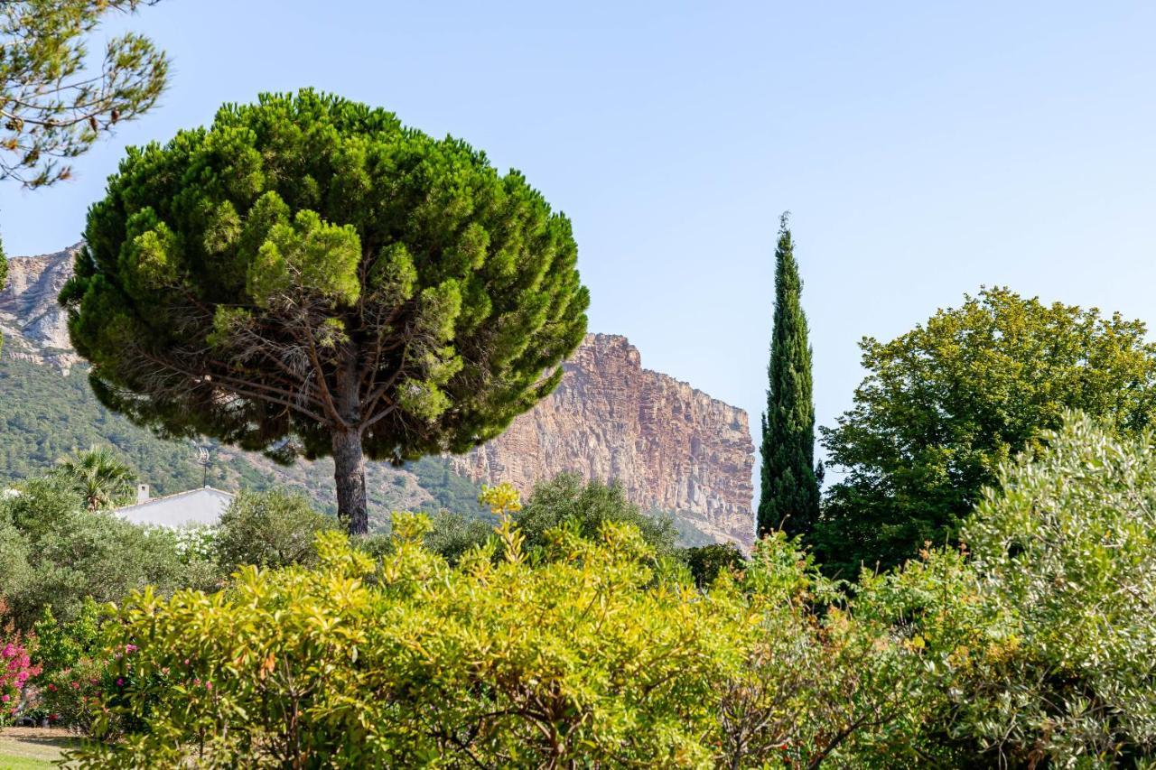 Le Nadadou Par Dodo A Cassis Daire Dış mekan fotoğraf